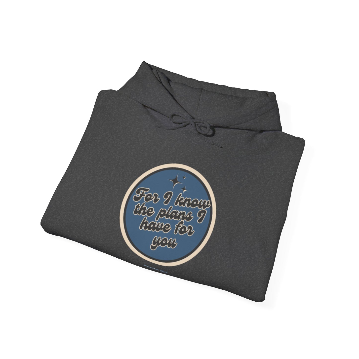 Jeremiah 29:11 Hooded Sweatshirt